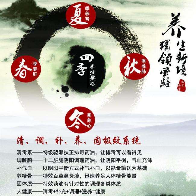雷恩天主教学院Accounting Diploma
